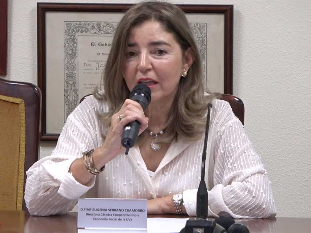 economía social en Castilla y León